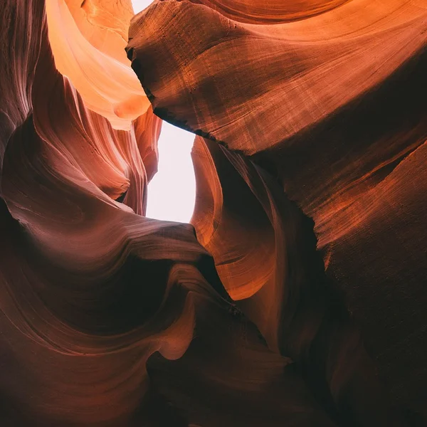 博鱼体育老虎机